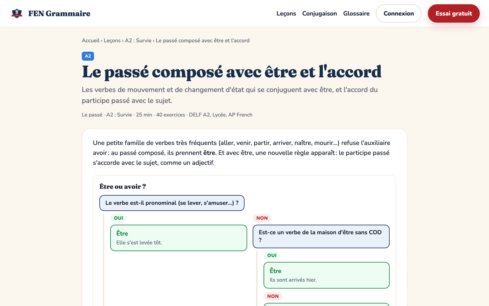 A lesson in FEN Grammaire